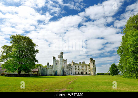 Die Türme und Türmchen von ducketts Grove, eine Burgruine aus dem 19. Jahrhundert große Haus und ehemaliger Immobilien im County Carlow, Irland. Stockfoto