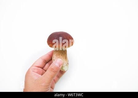 Weiße Pilze Steinpilze in der Hand auf weißem Hintergrund, selektiver Fokus, isoliert. Stockfoto