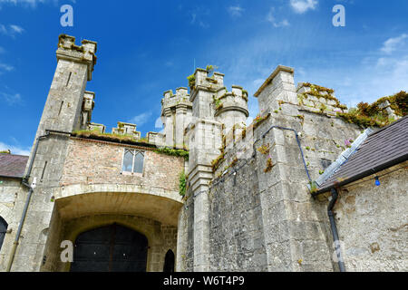 Die Türme und Türmchen von ducketts Grove, eine Burgruine aus dem 19. Jahrhundert große Haus und ehemaliger Immobilien im County Carlow, Irland. Stockfoto