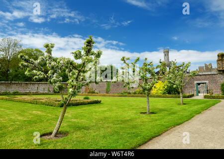 Die Türme und Türmchen von ducketts Grove, eine Burgruine aus dem 19. Jahrhundert große Haus und ehemaliger Immobilien im County Carlow, Irland. Stockfoto