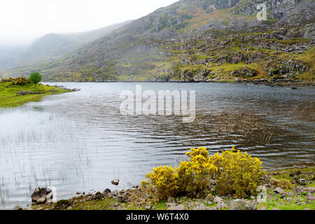 Der Fluss Loe und schmalen Pass Road Wind durch das steile Tal der Lücke von Dunloe, in der macgillycuddy Reeks Bergen, County Stockfoto