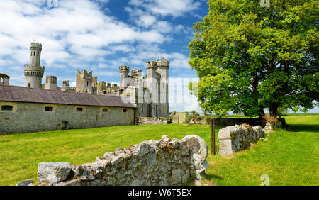 Die Türme und Türmchen von ducketts Grove, eine Burgruine aus dem 19. Jahrhundert große Haus und ehemaliger Immobilien im County Carlow, Irland. Stockfoto