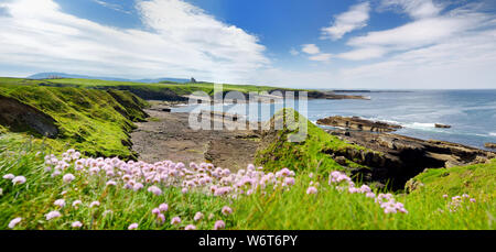 Spektakuläre Aussicht auf Mullaghmore Kopf mit riesigen Wellen an Land rollen. Die malerische Landschaft mit herrlichen Das Classiebawn Castle. Unterschrift des W Stockfoto