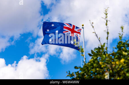 Der Australier auf einem Mast mit einem Busch in den Vordergrund. Stockfoto