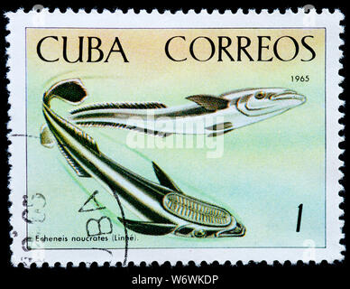 Kuba Briefmarke - Schlank (Echeneis naucrates Sharksucker) Stockfoto