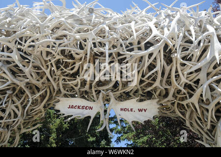 Los Angeles, Kalifornien, USA. 2 Aug, 2019. George Washington Memorial Park in Jackson Hole in Wyoming, USA Credit: Ringo Chiu/ZUMA Draht/Alamy leben Nachrichten Stockfoto