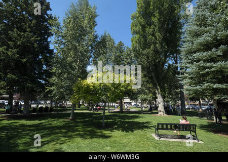 Los Angeles, Kalifornien, USA. 2 Aug, 2019. George Washington Memorial Park in Jackson Hole in Wyoming, USA Credit: Ringo Chiu/ZUMA Draht/Alamy leben Nachrichten Stockfoto