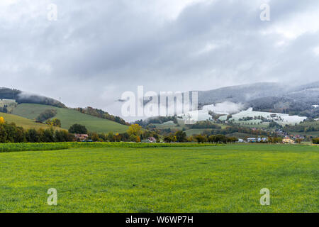 Deutschland, Grün weiden im Schwarzwald Region etwas Schnee bedeckt Stockfoto