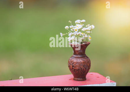 Flache Tiefenschärfe Bild mit weißen wilden Blumen in einer zerbrochenen Tontopf auf einem Tisch Ecke gelegt Stockfoto