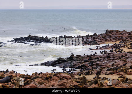 Dichtungen Kolonie in Cape Cross, Namibia Stockfoto