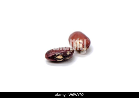 Hässliche rote Bohnen auf weißem Hintergrund Stockfoto