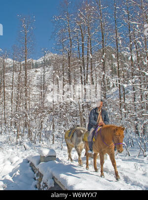 Solang Valley in Winter, Manali, Himachal Pradesh, Indien Stockfoto