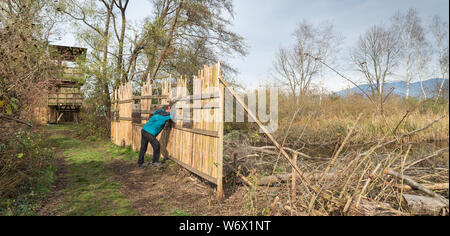 Ökotourismus. Vogelbeobachter hinter einem Tierheim versteckt. Brabbia Marsh, Inarzo, Italien Stockfoto