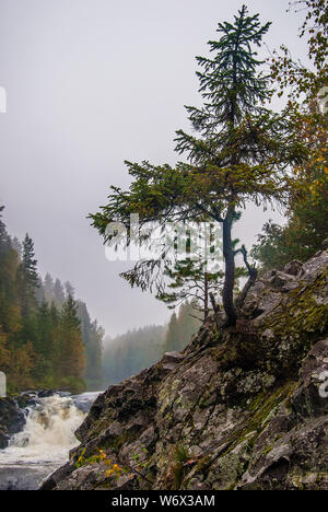 Kivach Wasserfall in Karelien, Russland. Natur Landschaft des russischen Nordens Stockfoto