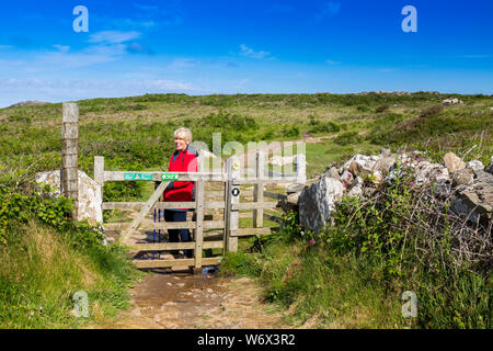 Eine weibliche Wanderer auf den Pembrokeshire Coast National Park Küstenweg zwischen Whitesands Bay und St. Davids Kopf, Wales, Großbritannien Stockfoto