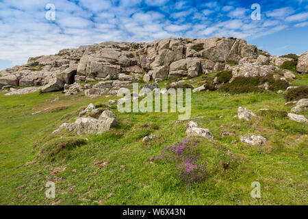 Der Felsen übersät Gipfel von St. Davids Kopf, Pembrokeshire Coast National Park, Wales, Großbritannien Stockfoto