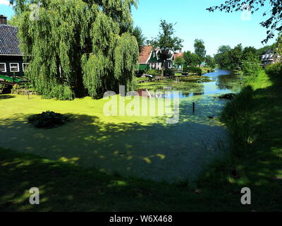 Traditionelle niederländische Häuser auf dem Teich Ufer in Zaanse Schans Stockfoto