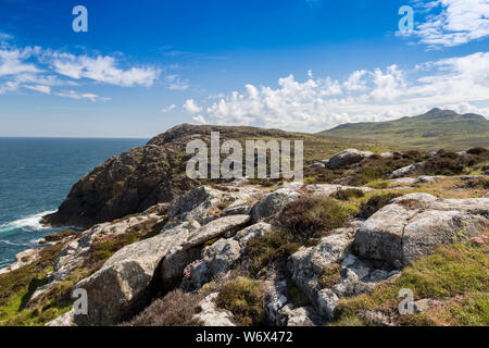 Blick nach Norden von St Davids Richtung Carn Llidi, Pembrokeshire Coast National Park, Wales, Großbritannien Stockfoto