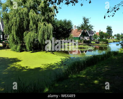 Traditionelle niederländische Häuser auf dem Teich Ufer in Zaanse Schans Stockfoto