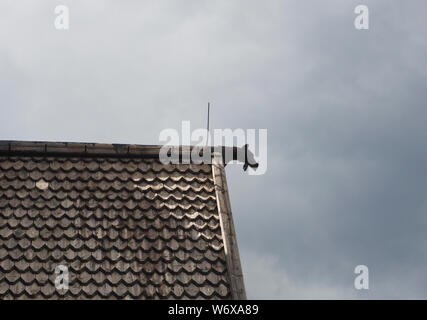 Heddal Stabkirche aus dem Mittelalter, ein Paradebeispiel der Norwegischen Holz- Architektur und eine touristische Attraktion, Detail wit geschnitzte Tier Kopf Stockfoto