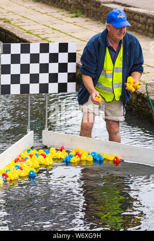 Bournemouth, Dorset, Großbritannien. 3 Aug, 2019. 2000 Spielzeug enten Rennen an der Bourne stream in Bournemouth untere Gärten während Heute und Morgen. Organisiert von East Cliff Rotary Club mit den Erträgen, die zur lokalen Nächstenliebe der Fall ist sicher quackers zu sein! Drehen Sie die Massen auf die Enten zu jubeln, in der Hoffnung, ihnen wird die gewinnen werden. Endpunkt: Entfernen der Enten für das nächste Rennen bereit. Credit: Carolyn Jenkins/Alamy leben Nachrichten Stockfoto