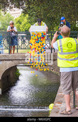 Bournemouth, Dorset, Großbritannien. 3 Aug, 2019. 2000 Spielzeug enten Rennen an der Bourne stream in Bournemouth untere Gärten während Heute und Morgen. Organisiert von East Cliff Rotary Club mit den Erträgen, die zur lokalen Nächstenliebe der Fall ist sicher quackers zu sein! Drehen Sie die Massen auf die Enten zu jubeln, in der Hoffnung, ihnen wird die gewinnen werden. Trinkgeld in den Enten für den Start der Rennen. Credit: Carolyn Jenkins/Alamy leben Nachrichten Stockfoto