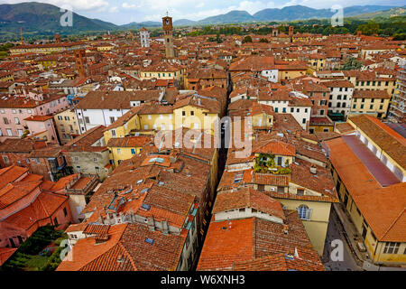 Lucca Blick vom Torre Guinigi mit Olivenbäumen Stockfoto