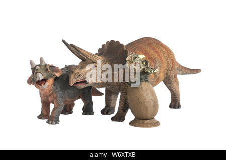 Entwicklung der triceratops in Jahren. Baby, Jugendliche und Erwachsene Triceratops auf weißem Hintergrund Stockfoto