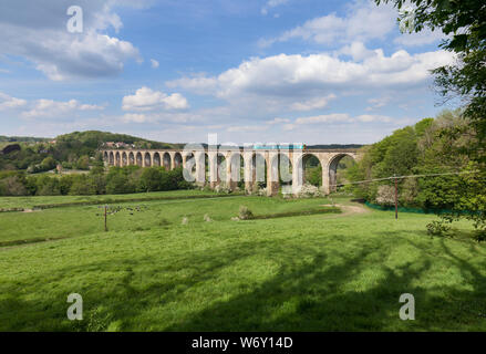 Transport für Wales Klasse 158 Express sprinter Bahnübergang Cefn Mawr Viadukt (nördlich von London) mit einem Holyhead nach Birmingham internationaler Zug Stockfoto