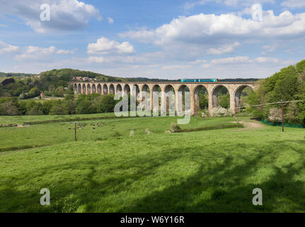 Transport für Wales Klasse 158 Express sprinter Bahnübergang Cefn Mawr Viadukt (nördlich von London) mit einem Holyhead nach Birmingham internationaler Zug Stockfoto