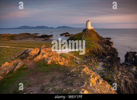 Dieses Bild fand an llandwynn Insel auf der Insel Anglesey, Nordwales, an einem schönen Sommerabend im August 2019 gerade als die Sonne am Untergehen war Stockfoto