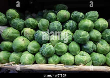 Damm von frischem Rosenkohl zum Verkauf in Abschnitt produzieren im Supermarkt Stockfoto