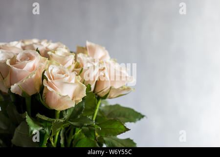Grußkarte mit weißen Rosen auf grauem Hintergrund. Konzept der freien Raum Hintergrund Stockfoto