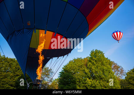 Festivalbesucher watch Heißluftballons zu Flug frühen Samstag Morgen, August 3, 2019 am zweiten Tag des 35. jährlichen Spiedie Fest und Kugel Stockfoto