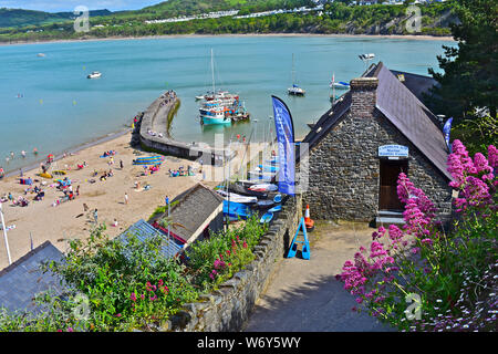 Ein Blick auf die Fischerboote im Hafen von Newquay vertäut. Familien spielen am Strand. Die Cardigan Bay Marine Wildlife Center hinter hübschen rosa Blüten. Stockfoto