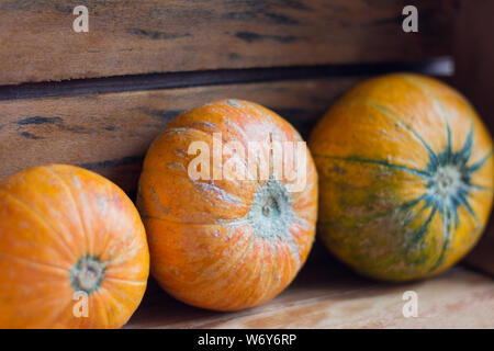 Reife Kürbisse in einer Holzkiste für Storage, leckere Herbst Gemüse Stockfoto