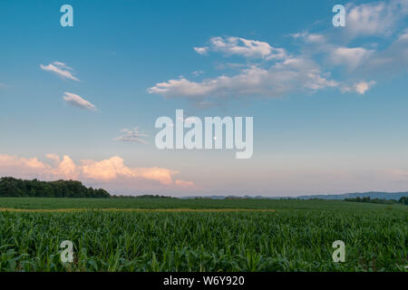 Lanscapes von Slawonien, Kroatien Stockfoto