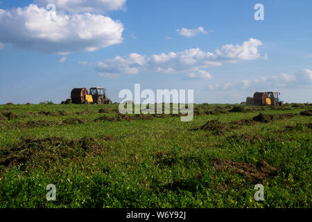 Landmaschinen, Traktoren sammeln Gras in einem Feld vor einem blauen Himmel. Heuernte, Gras Ernte. Jahreszeit der Ernte, Gras, Agricult Stockfoto