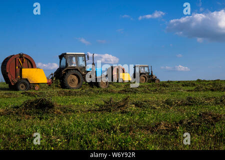 Landmaschinen, Traktoren sammeln Gras in einem Feld vor einem blauen Himmel. Heuernte, Gras Ernte. Jahreszeit der Ernte, Gras, Agricult Stockfoto