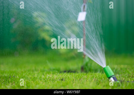 Die Bewässerung der grüne Rasen mit einer Spritze am Sommer, Tag Stockfoto