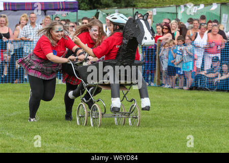 Dundonald, UK. 03. Juli 2019. Die Ayrshire Dorf Dundonald feierte den 30. Jahrestag der Holding Highland Games durch Wettbewerbe von Crazy pram Racing und juvenile Tauziehen neben den traditionellen Wettbewerben der werfen der Caber, wirft den Hammer und die Keppoch Stein heben. Das siegerteam im Kinderwagen race TEAM BRAVEHEART mit Mitgliedern Alex Galloway, REBECCA McNEIL und MORGAN McCORMICK alle von Dundonald. Stockfoto