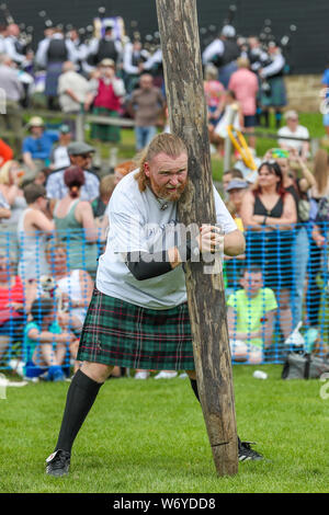 Dundonald, UK. 03. Juli 2019. Die Ayrshire Dorf Dundonald feierte den 30. Jahrestag der Holding Highland Games durch Wettbewerbe von Crazy pram Racing und juvenile Tauziehen neben den traditionellen Wettbewerben der werfen der Caber, wirft den Hammer und die Keppoch Stein heben Stockfoto