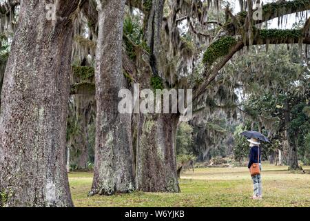 Eine Frau geht entlang der alten Live Oak Bäumen bedeckt, die im spanischen Moos am Fort Frederica National Monument, der ursprünglichen kolonialen Siedlung in St. Simons Island, Georgia. Fort Frederica wurde durch Georgien Gründer James Oglethorpe 1736 gegründet als Bollwerk gegen die spanischen Siedlungen in Florida zu dienen, Stockfoto