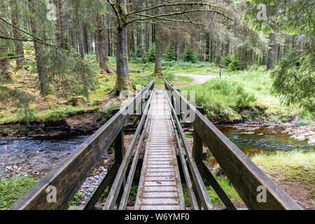 Fußgängerbrücke über den Fluss Severn in hafren Wald, Wales. Die Brücke ist ein Teil der Wanderweg. Stockfoto