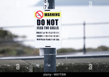 Nicht füttern Möwen Warnschild am Meer Strand Stockfoto