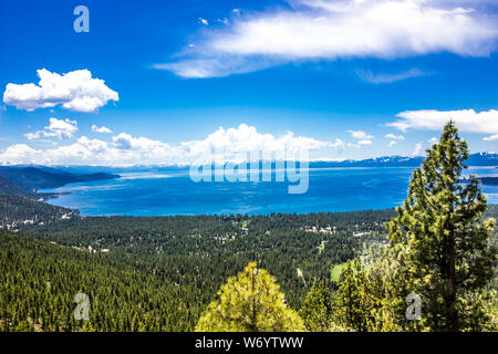 Küste und Wald rund um Lake Tahoe Stockfoto