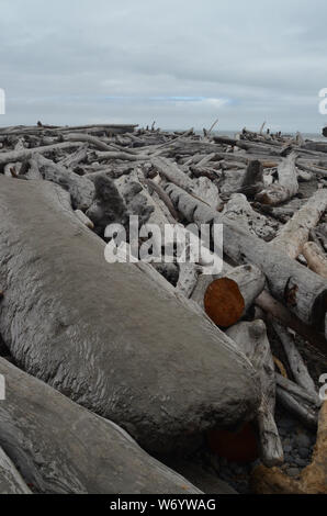 Schattierungen von grau: grau Obertöne verbrauchen Ruby Beach im Staat Washington. Stockfoto