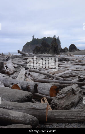 Schattierungen von grau: grau Obertöne verbrauchen Ruby Beach im Staat Washington. Stockfoto