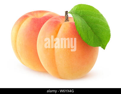 Isolierte Aprikosen. Zwei ganze frische Aprikosen Früchte auf weißem Hintergrund mit Freistellungspfad isoliert Stockfoto