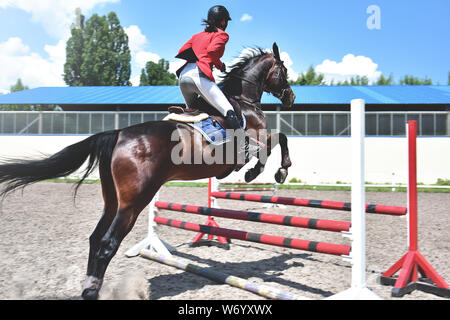Junge weibliche Jockey auf dem Pferd springen über Hürde Stockfoto